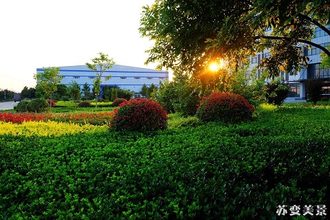 美丽苏变厂景